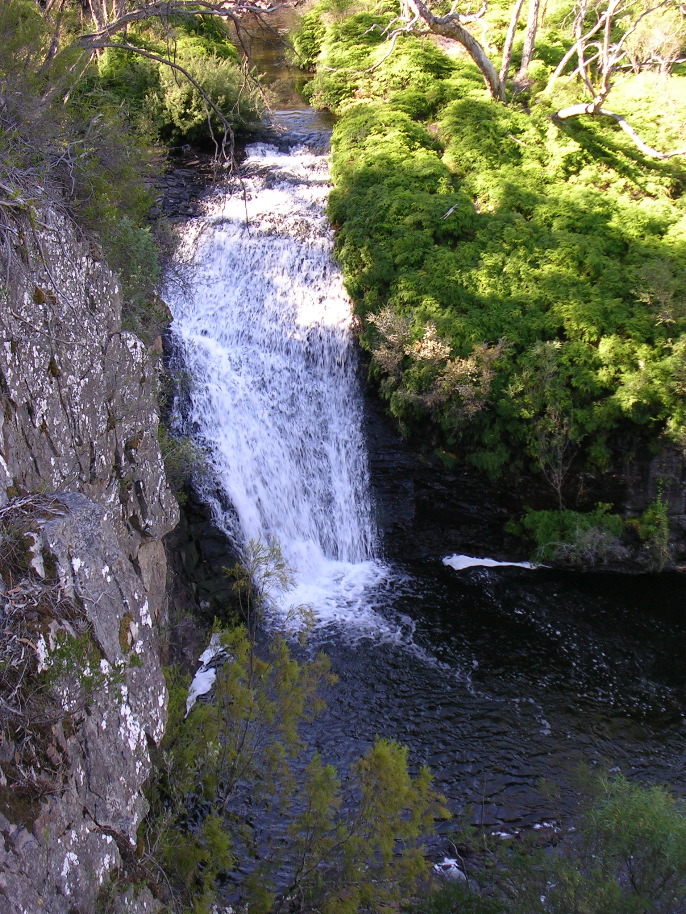 DSCN3107