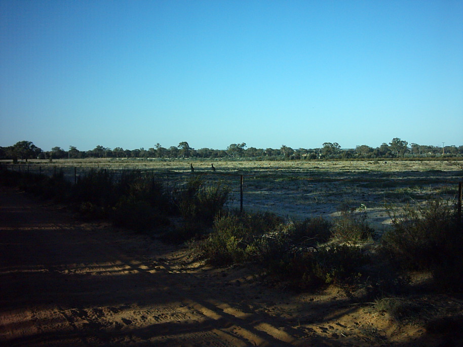 IMAG0232