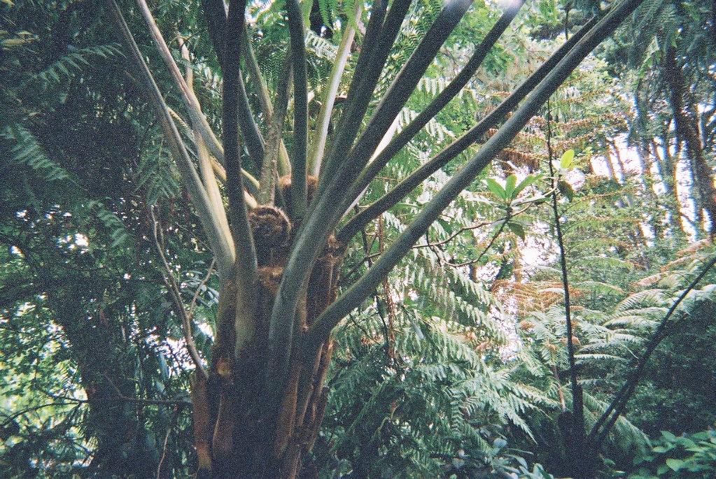 F1030035