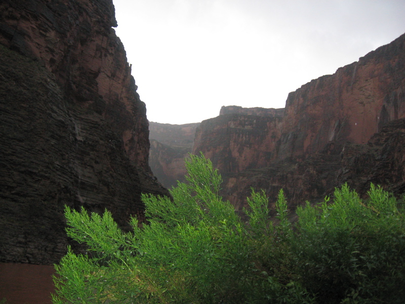 IMG_1125.JPG