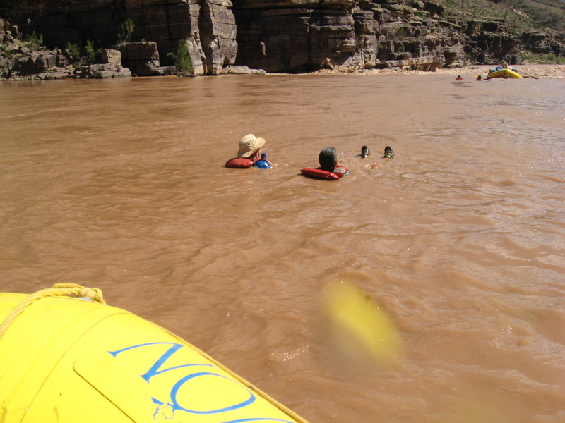 Susan (in the hat) decides to swim a rapid.