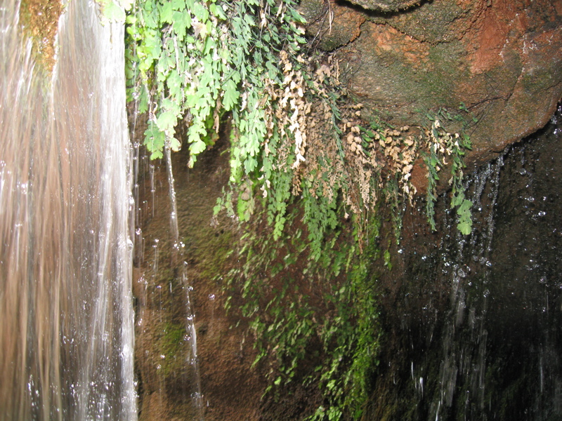 Elves Canyon