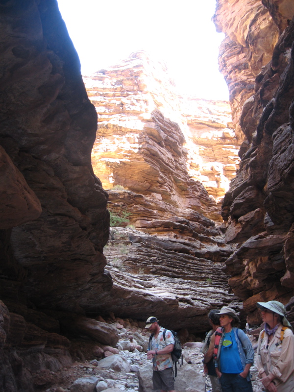Blacktail Canyon