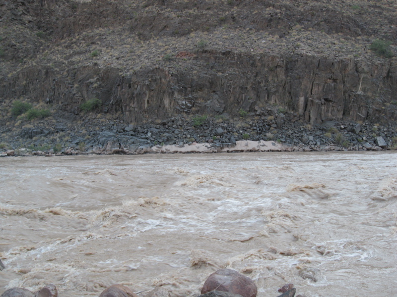 STE_1077.JPG