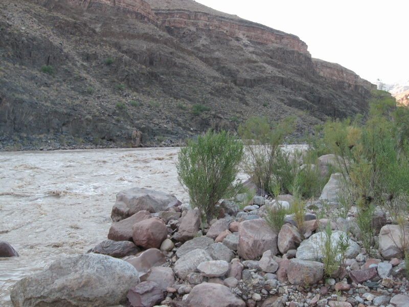 STG_1079.JPG
