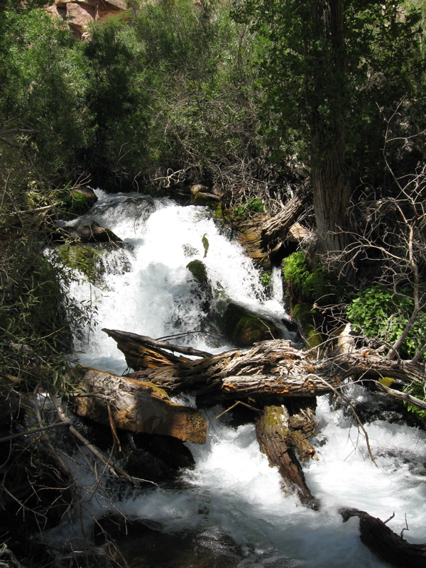 Base of thunder falls, where we stopped to rest when we couldn't quite make it to the top of the hike