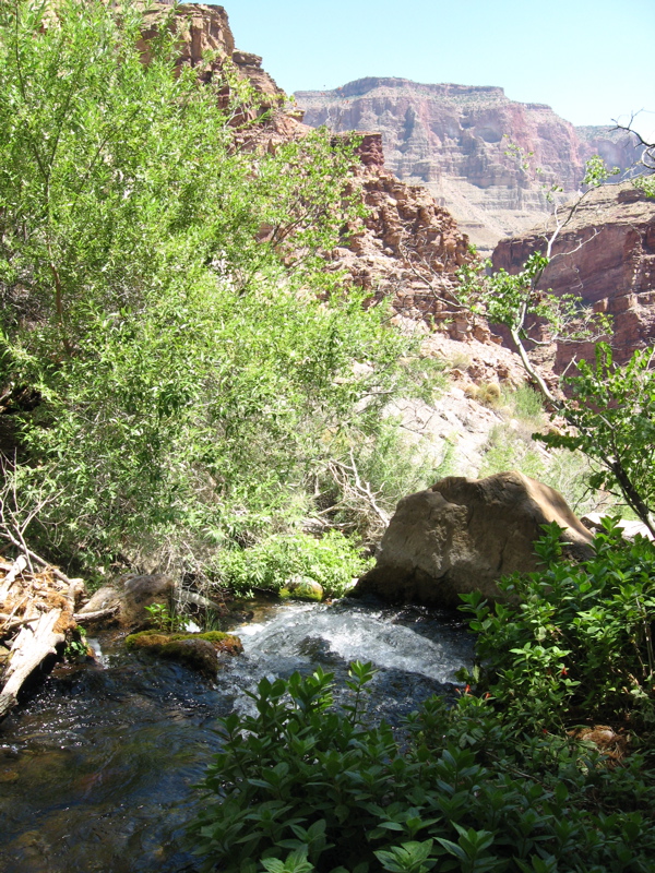 Pool under thunder falls