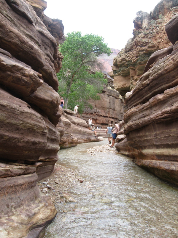 Deer Creek Patio