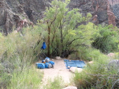 Our first camp