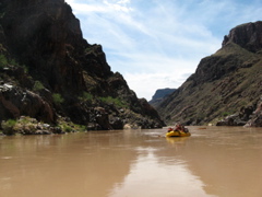 On the river