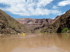 On the river