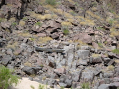 The Ross Wheeler, abandoned in 1913