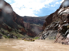 Green cliffs
