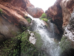 Elves Canyon, looking up