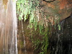 Elves Canyon