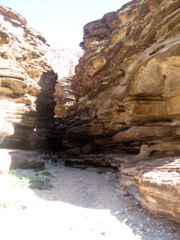 Blacktail Canyon