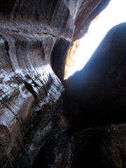 Blacktail Canyon, looking up