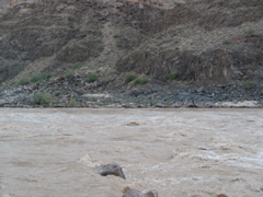 STD_1076.JPG
