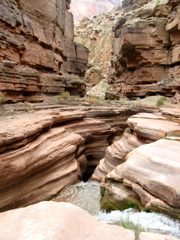 Deer Creek Patio
