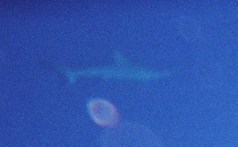 00350013