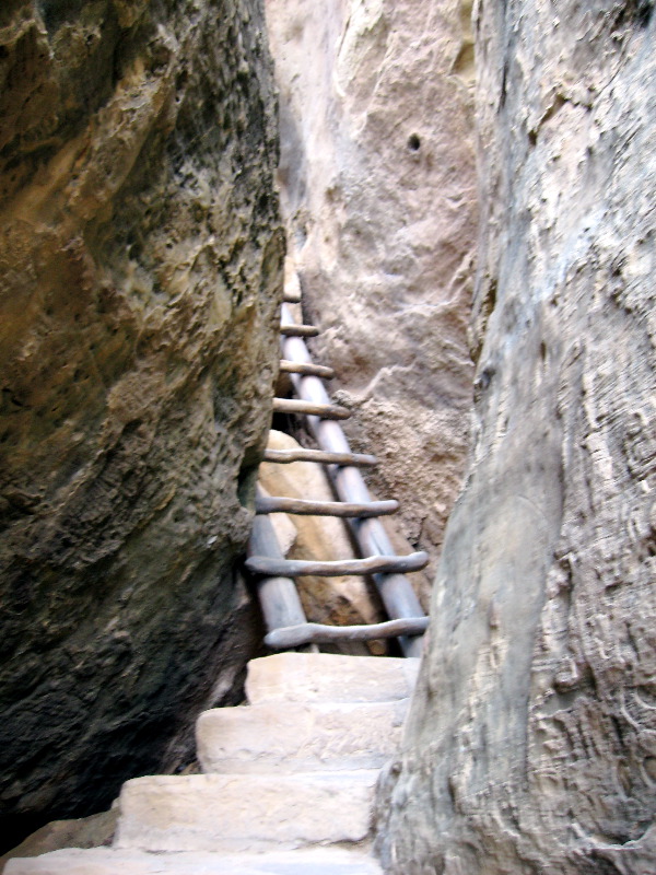 Ladder going up out of Cliff Palace