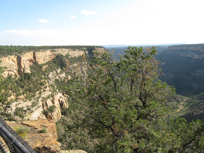 Navajo Canyon overlook