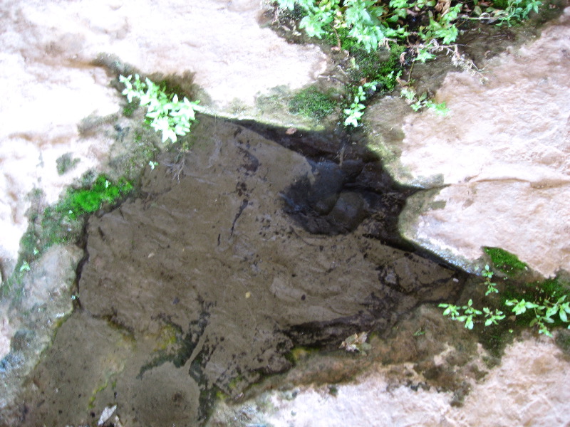 Water fills an ancient catchpool