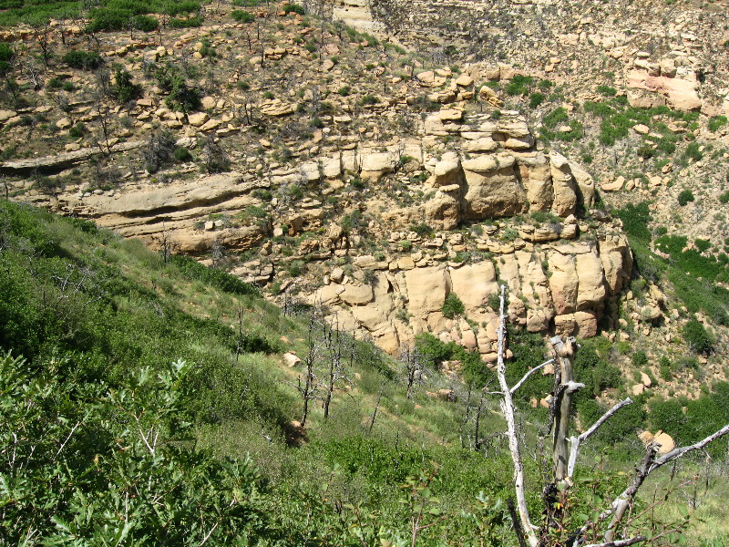 Can you find them now?  They're hidden in the cliff face.