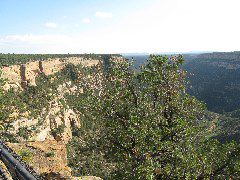 Navajo Canyon overlook